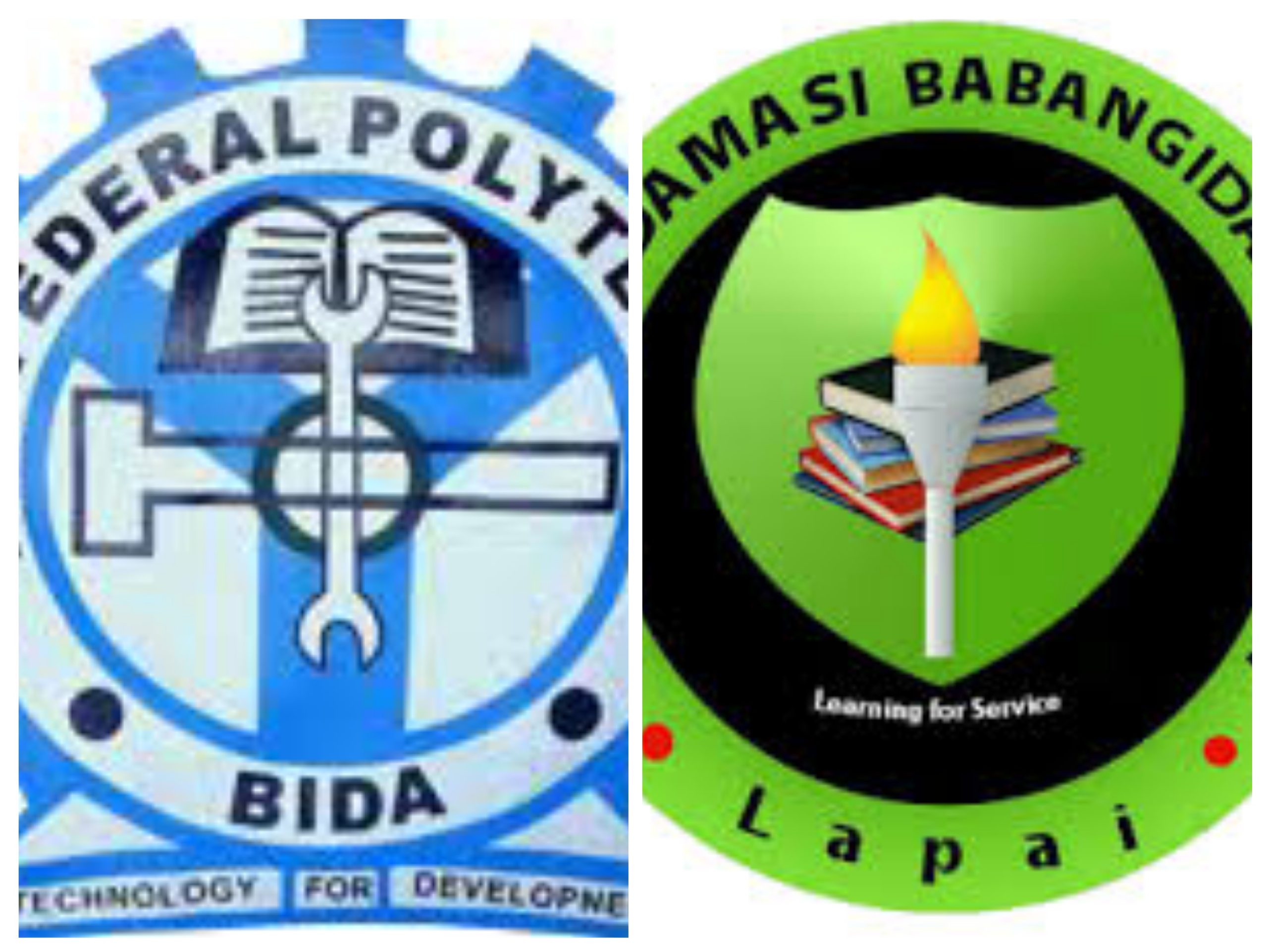 FEDERAL POLYTECHNIC, BIDA (BIDAPOLY) IN AFFILIATION WITH IBRAHIM ...